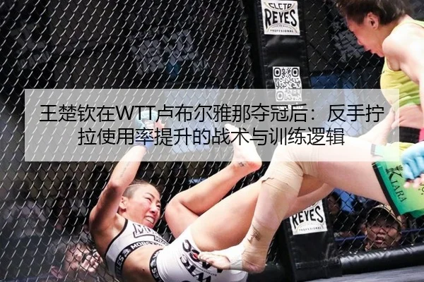 王楚钦在WTT卢布尔雅那夺冠后：反手拧拉使用率提升的战术与训练逻辑